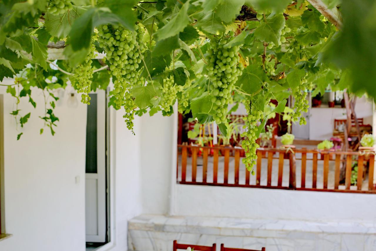 Sulo Pension Patara Esterno foto