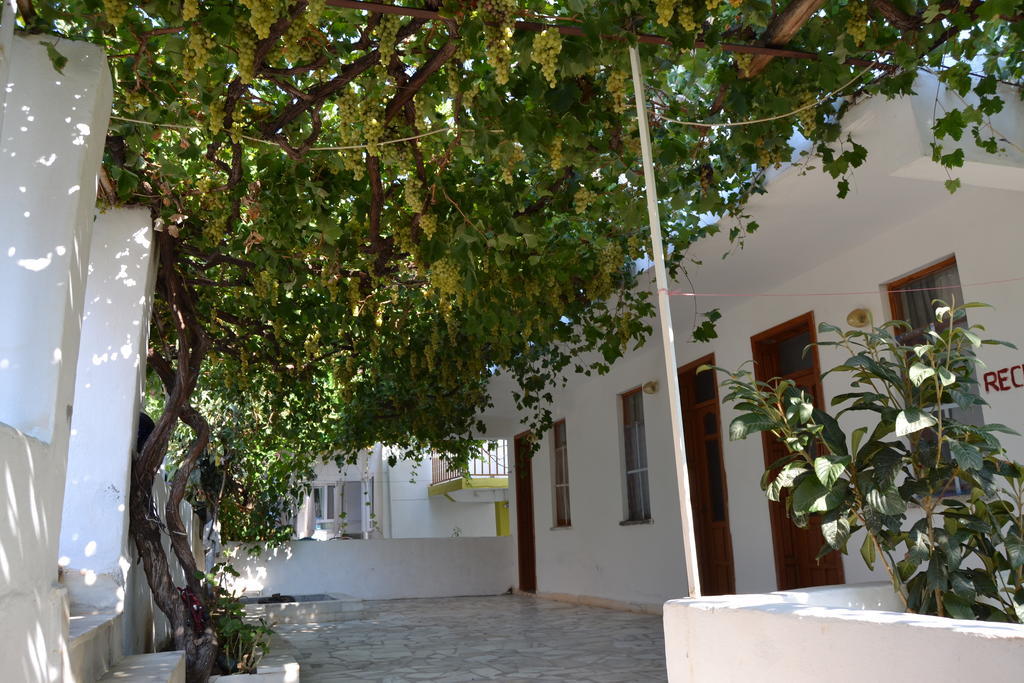 Sulo Pension Patara Esterno foto